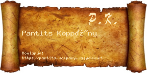 Pantits Koppány névjegykártya